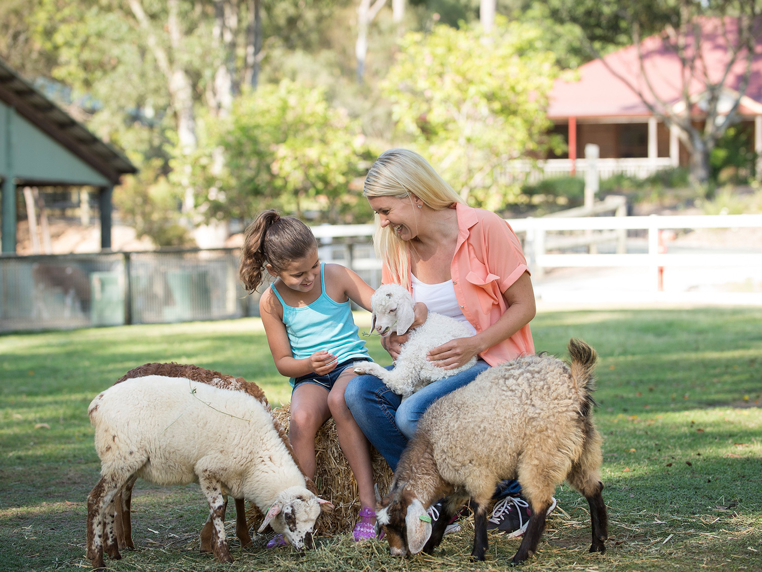 Paradise Country Farmstay Hightide Holidays